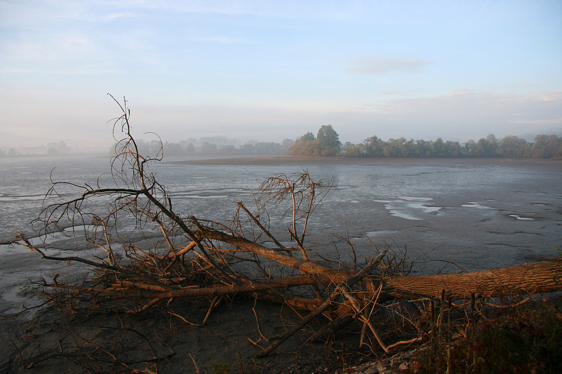 The Rozmberk Pond is the largest fishpond in the Czech Republic.