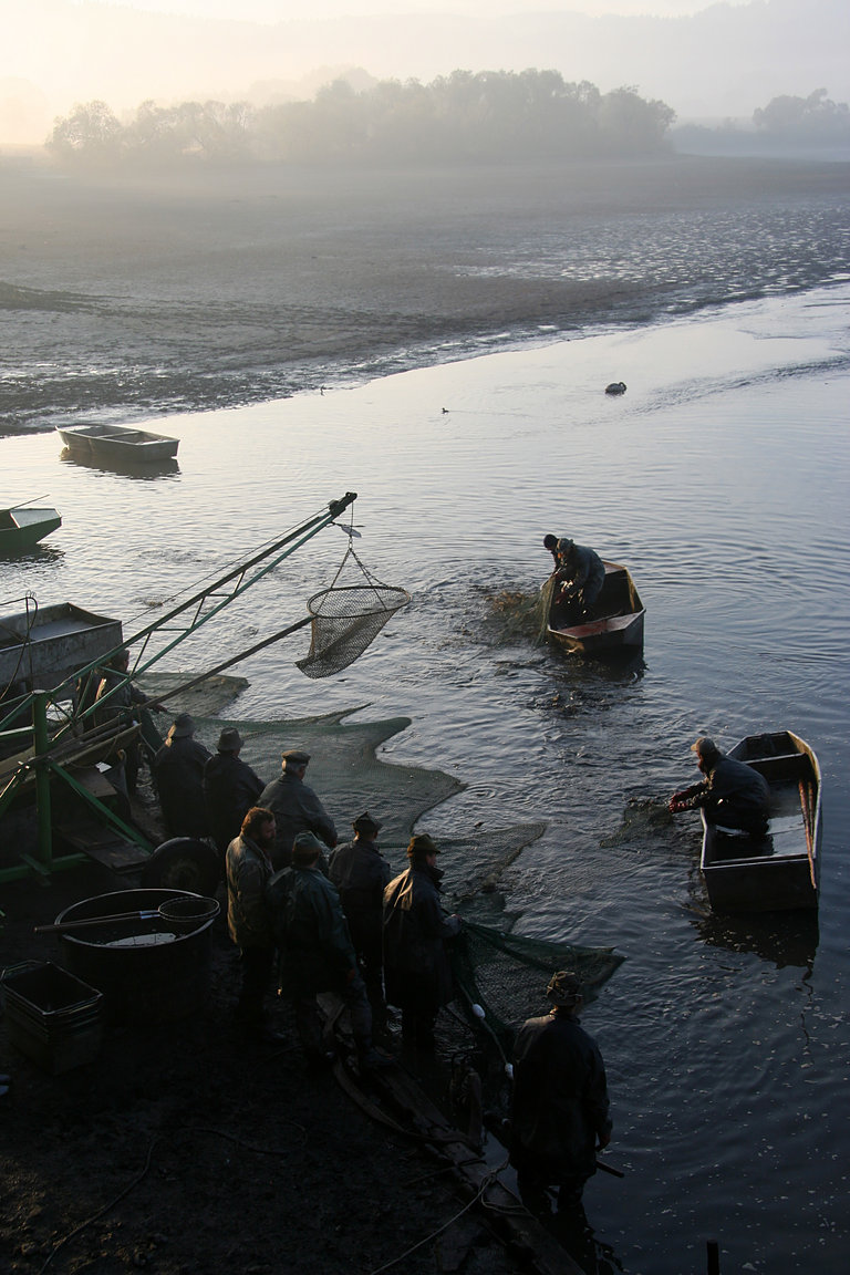 Czech_Fishing_06