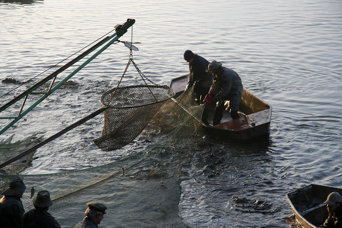 Czech_Fishing_07