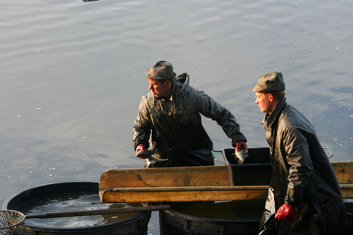 Czech_Fishing_11