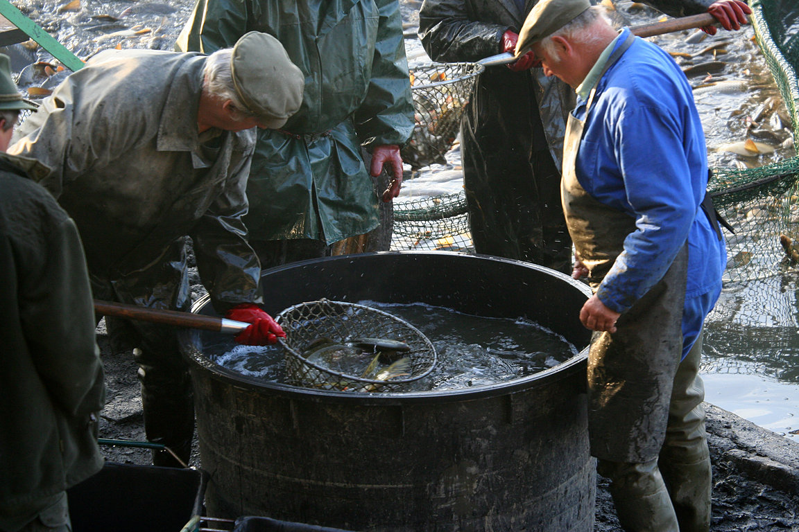 Czech_Fishing_14