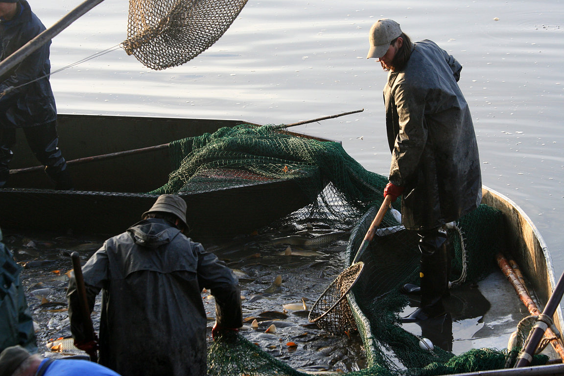 Czech_Fishing_15