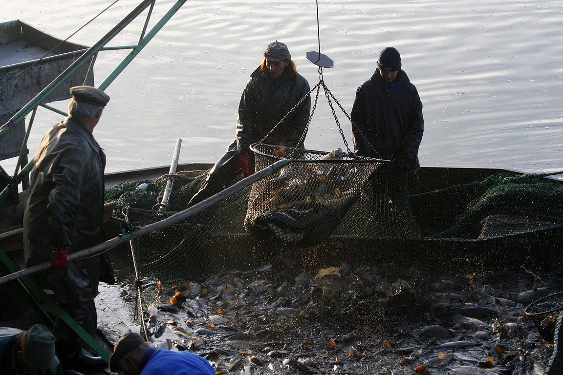 Czech_Fishing_17