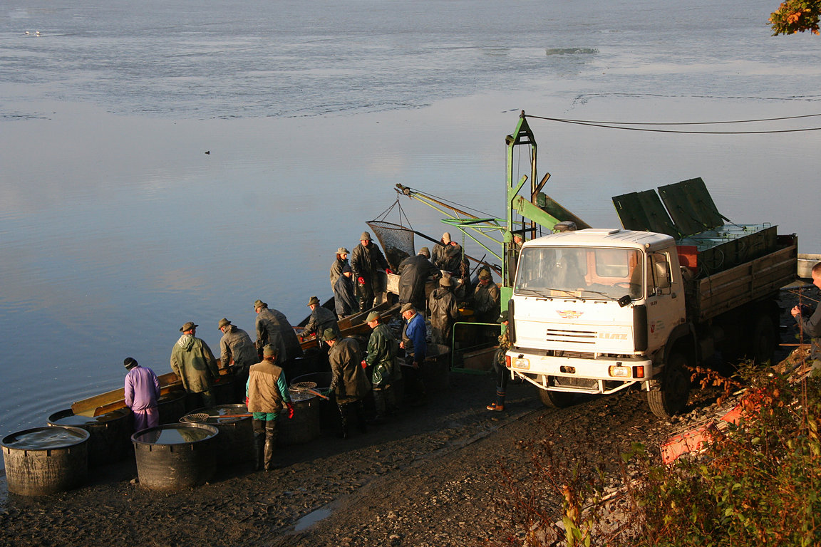 Czech_Fishing_20