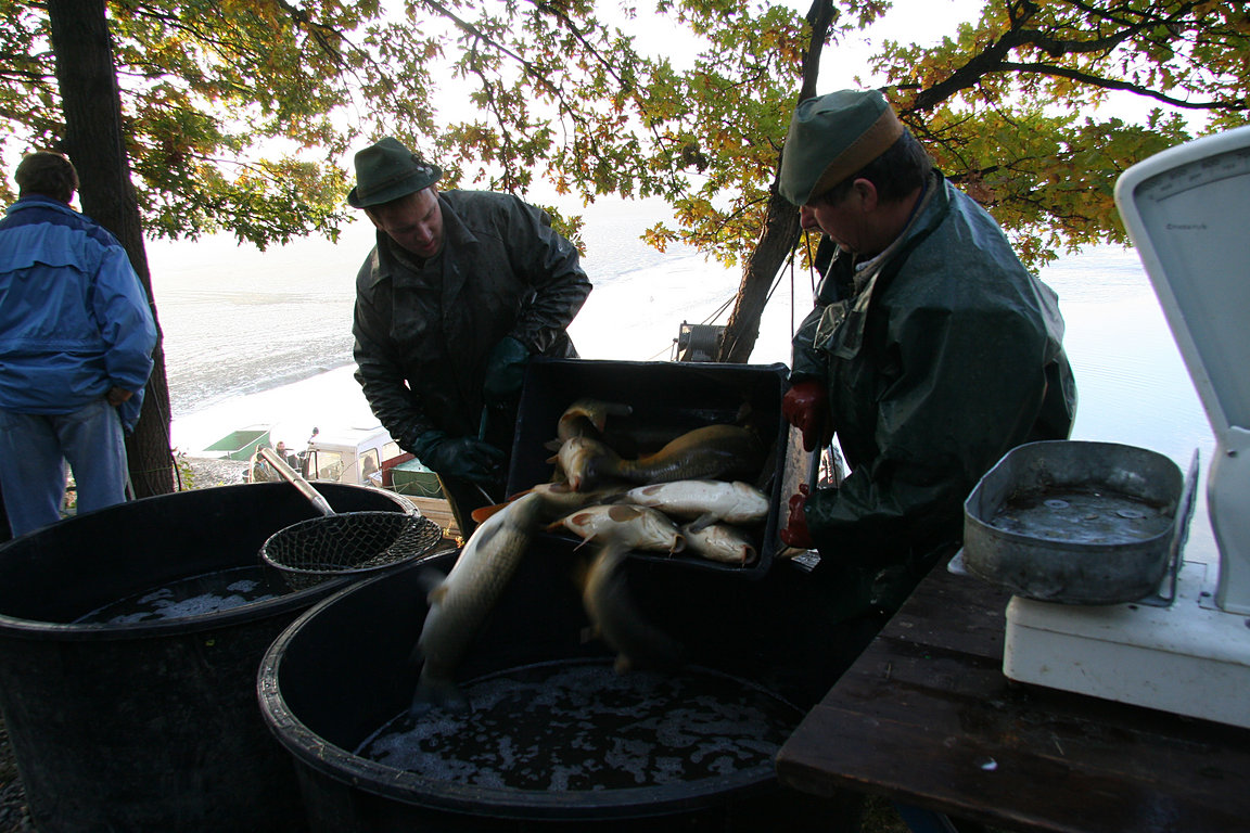 Czech_Fishing_22