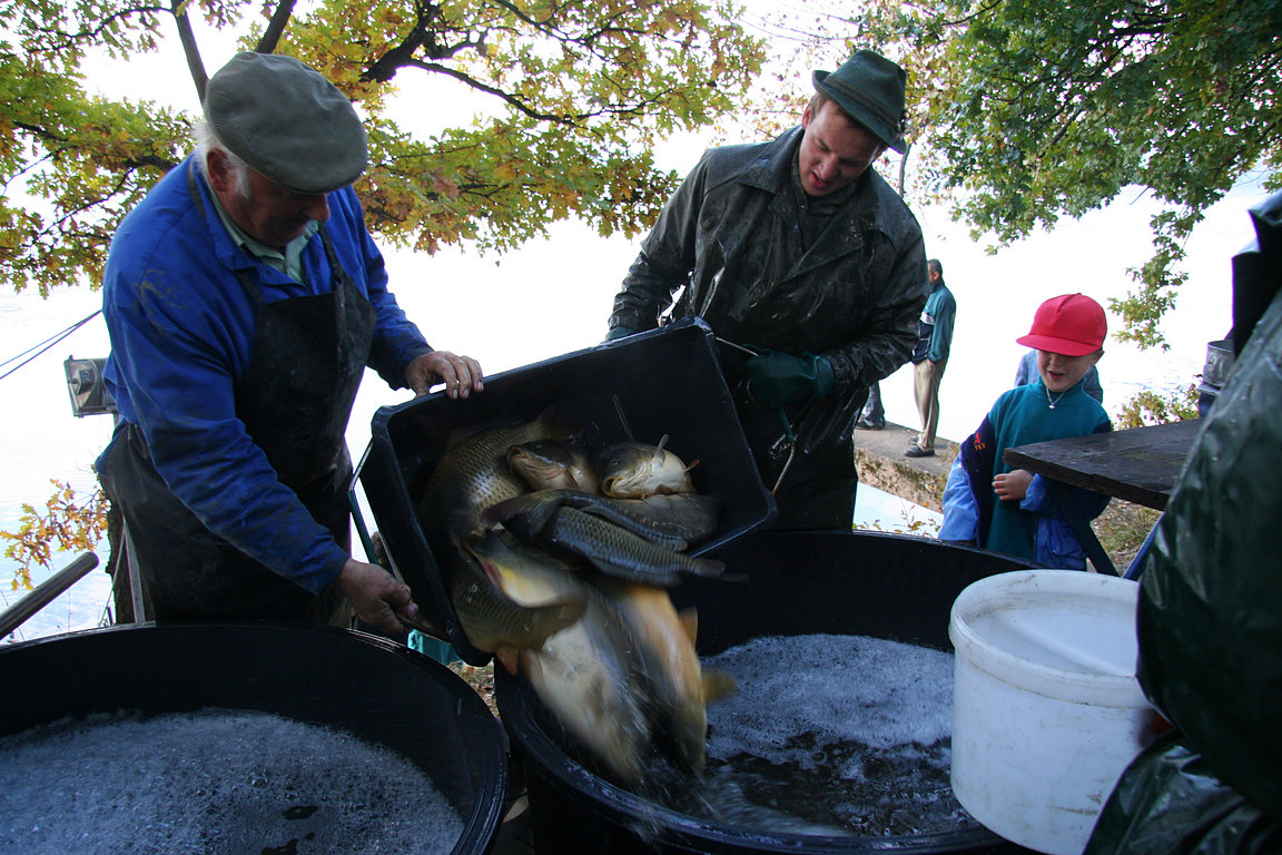 Czech_Fishing_23