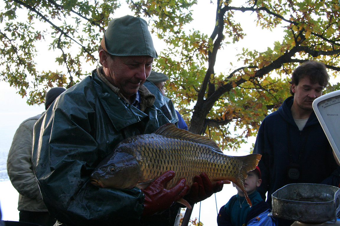 Czech_Fishing_28