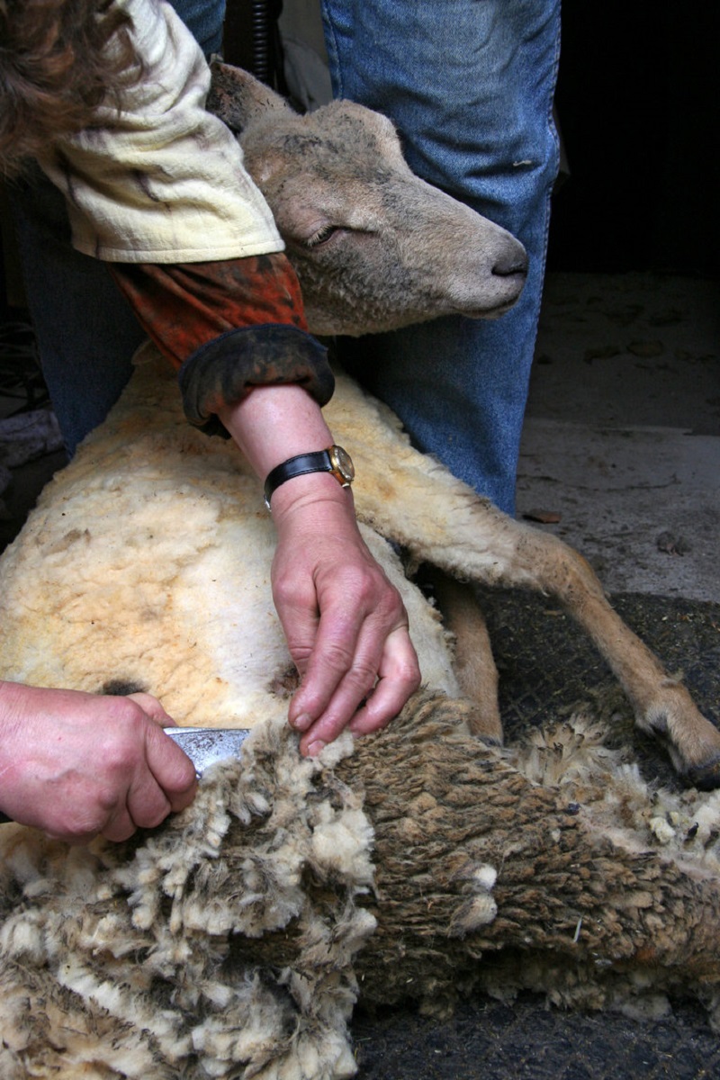 Easter_at_Křivoklát_Castle_06