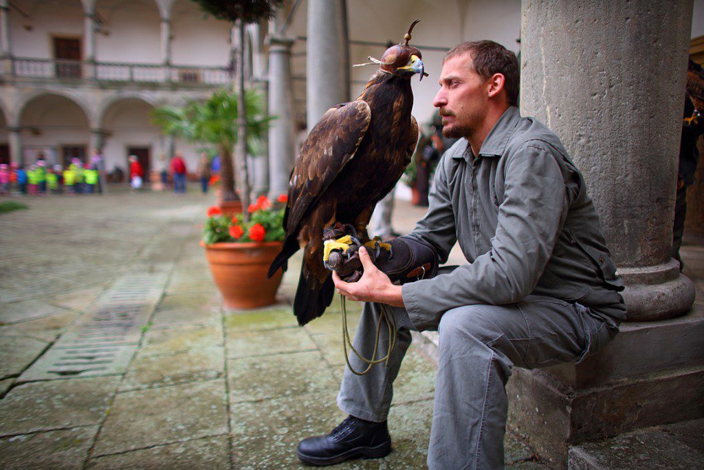 Falconry_Czech_Men_00