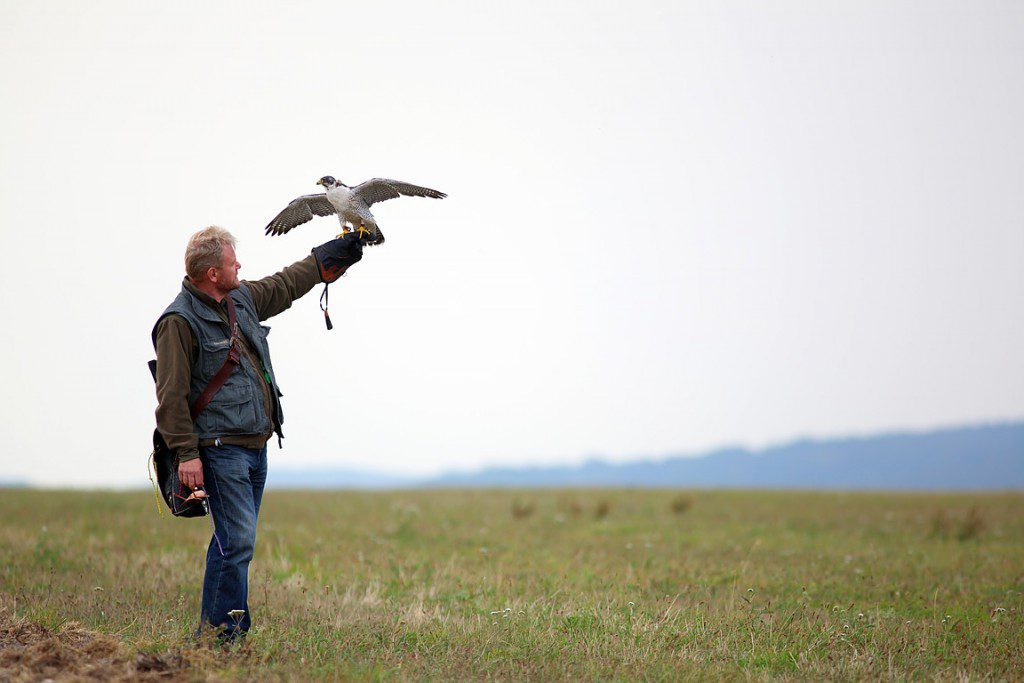 Falconry_Czech_Men_01