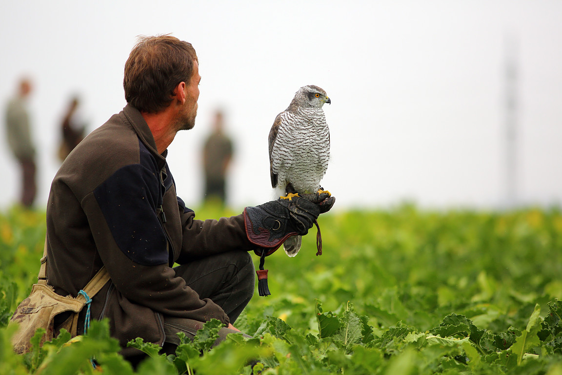 Falconry_Czech_Men_06