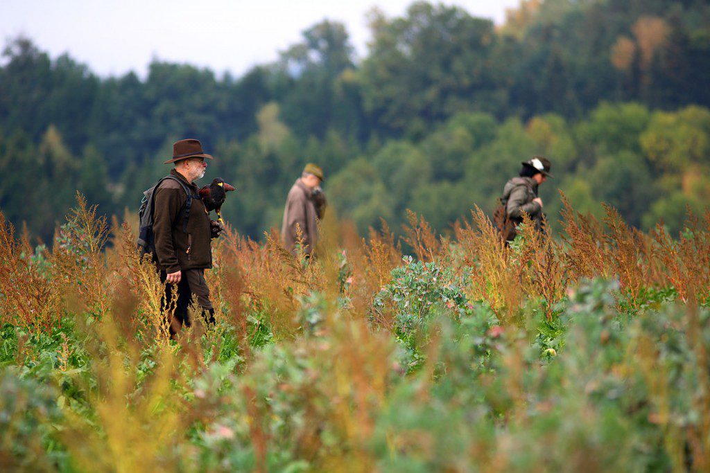 Falconry_Czech_Men_14