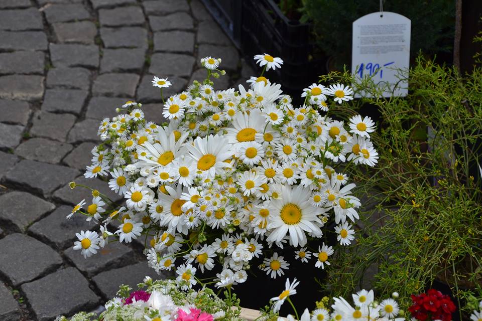 Farmers-Market-Prague-Flowers-6