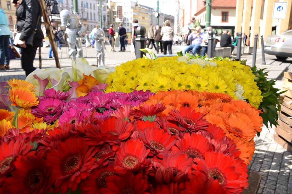 Farmers-Market-Prague-Flowers-9