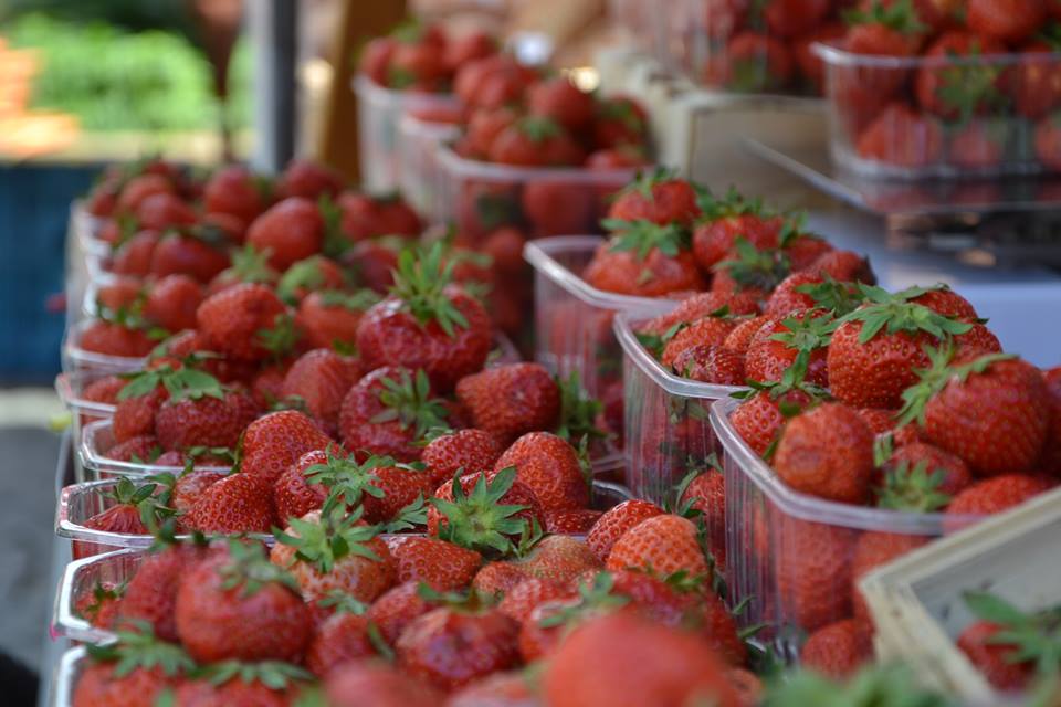 Farmers-Market-Prague-Fruits-1