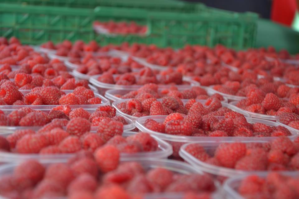 Farmers-Market-Prague-Fruits-3