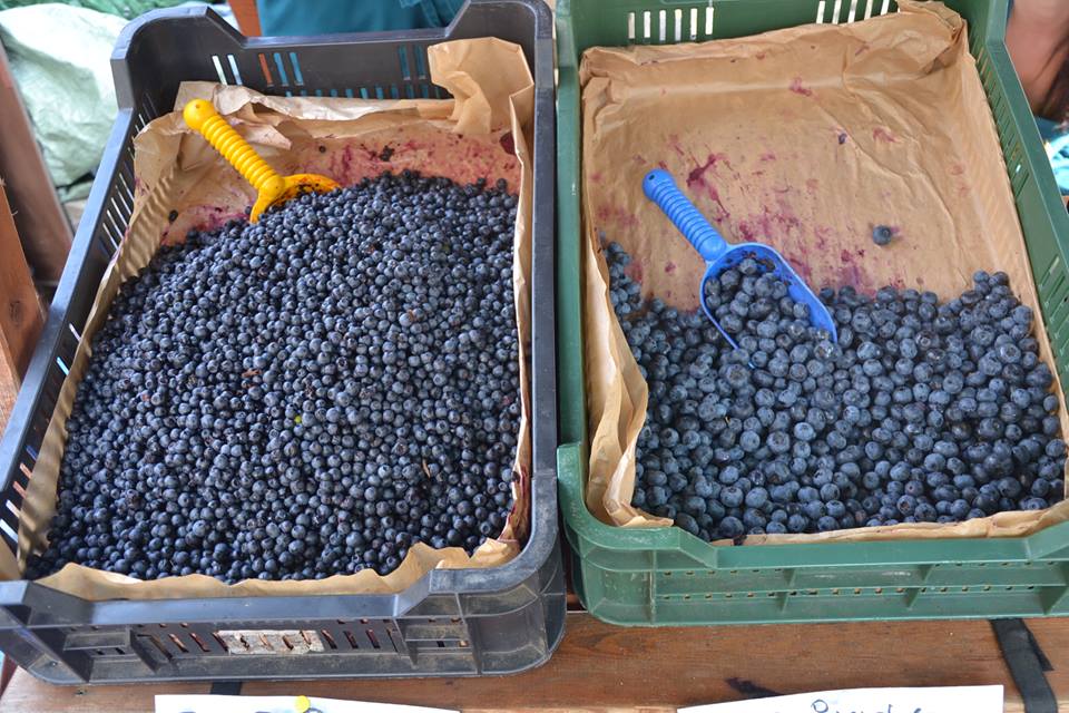 Farmers-Market-Prague-Fruits-4