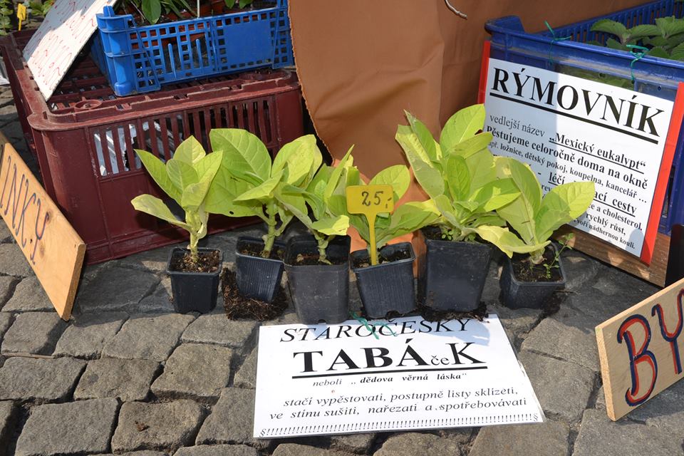 Farmers-Market-Prague-Herbs-2