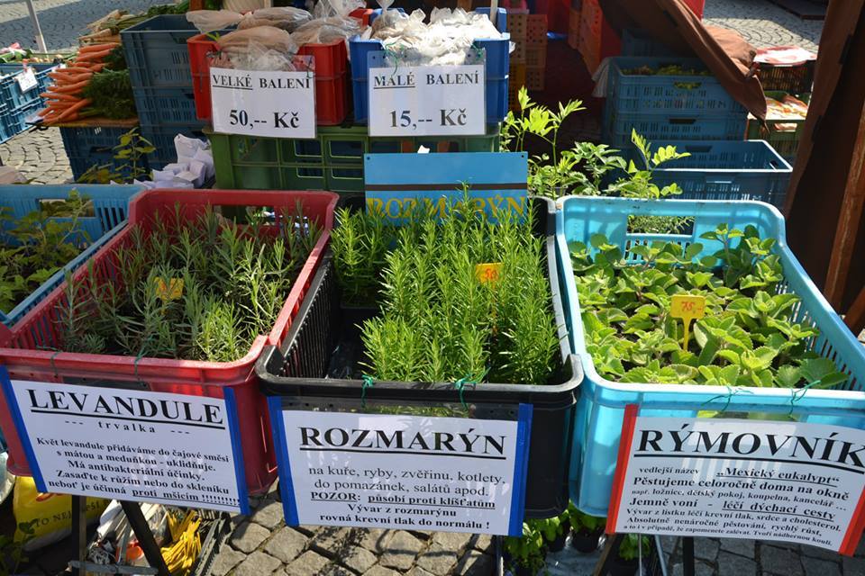 Farmers-Market-Prague-Herbs-3