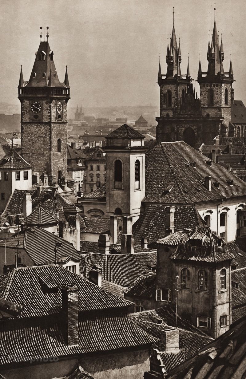 Fascinated by the Rooftops