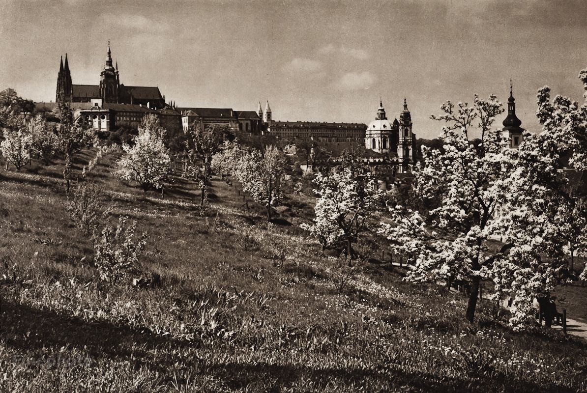 Looking at the Castle in Spring