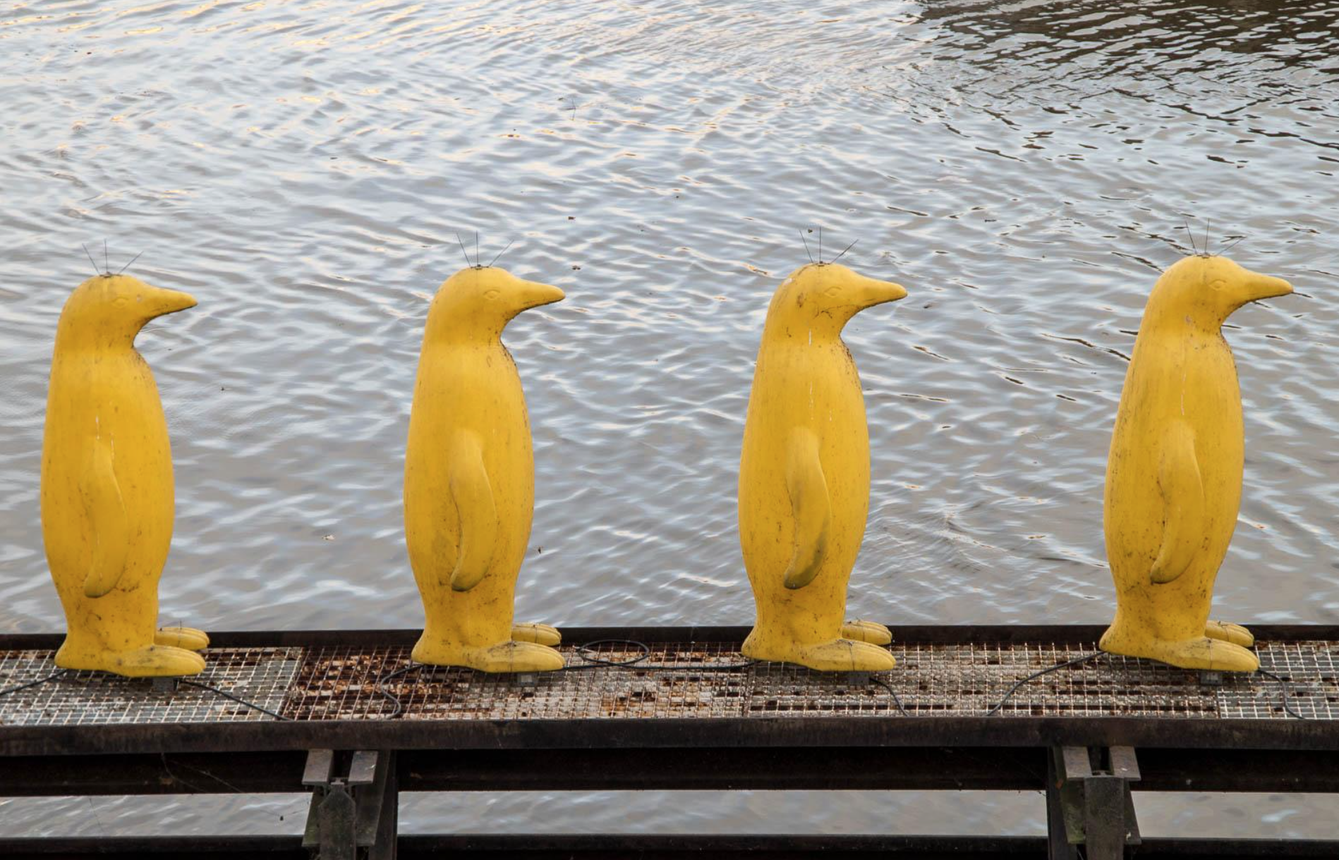 Penguin-Tres-Bohemes