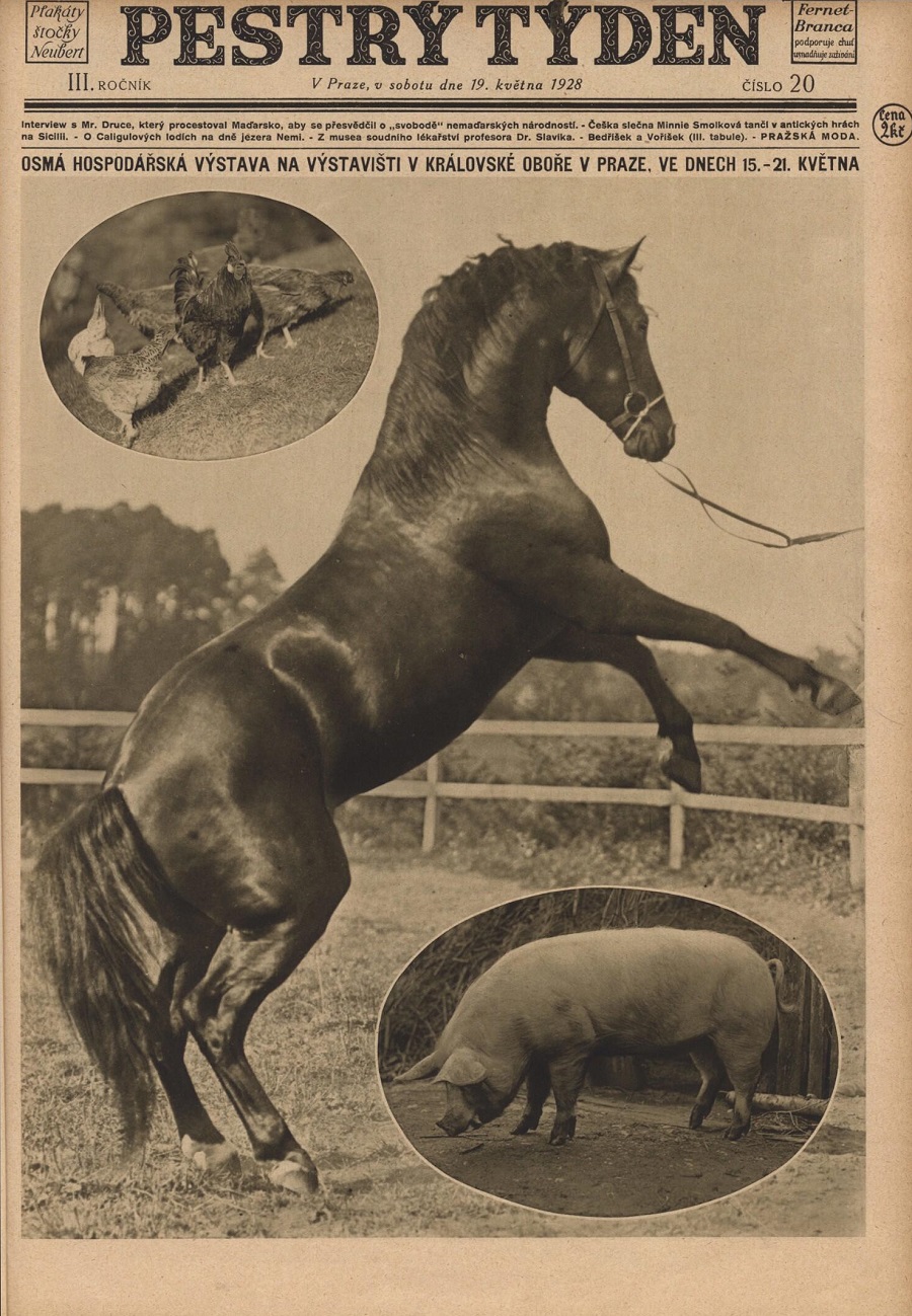 1928_pestry_tyden_year_3_issue_20