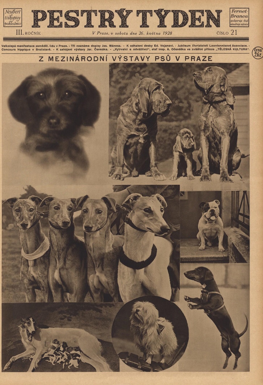 1928_pestry_tyden_year_3_issue_21