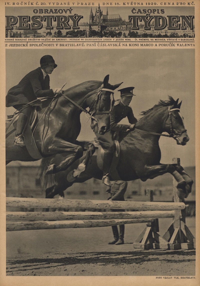 1929_pestry_tyden_year_4_issue_20