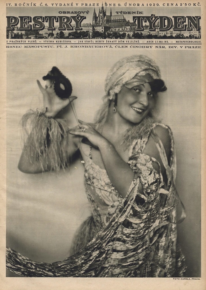 1929_pestry_tyden_year_4_issue_6