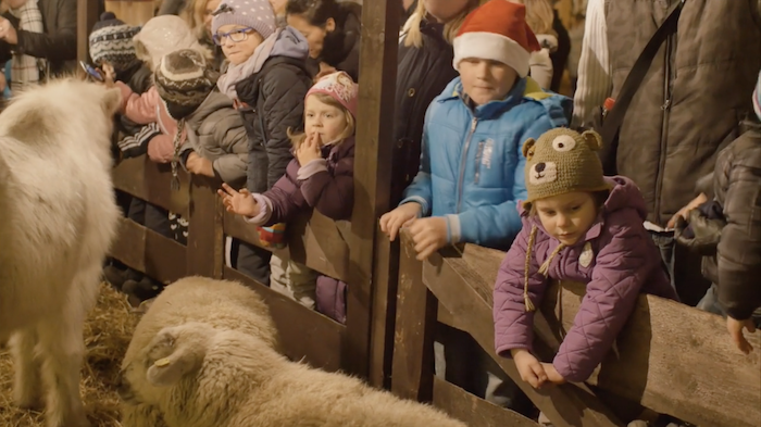 christmas-market-animals-tres-bohemes