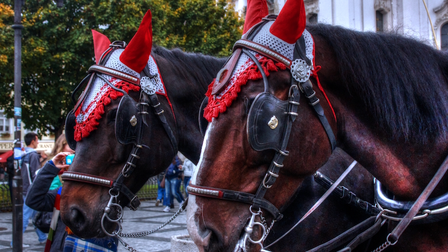 Horse-Drawn-Carriage-Prague-Tres-Bohemes