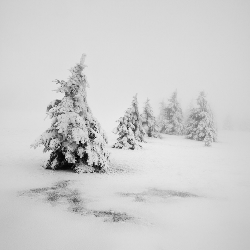 Daniel_Řeřicha-Winter_Wonderland_01