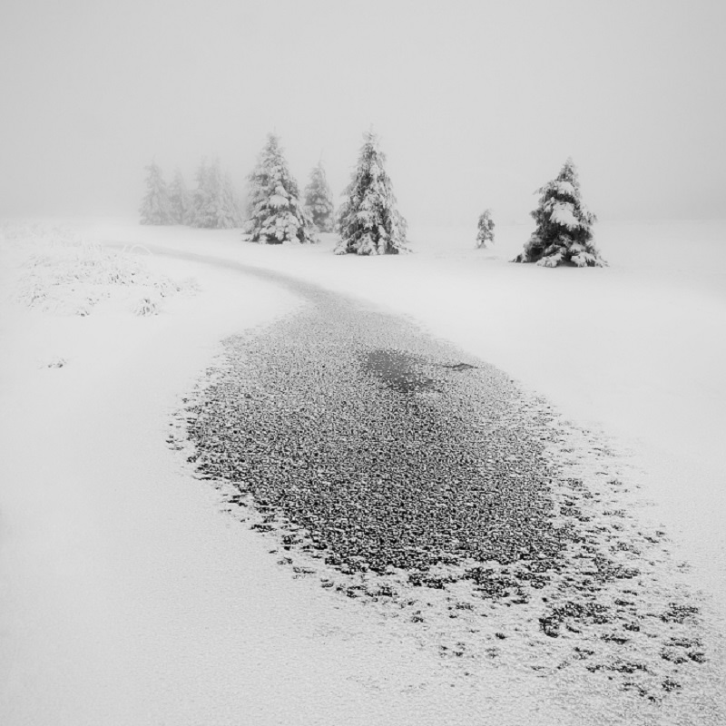 Daniel_Řeřicha-Winter_Wonderland_02