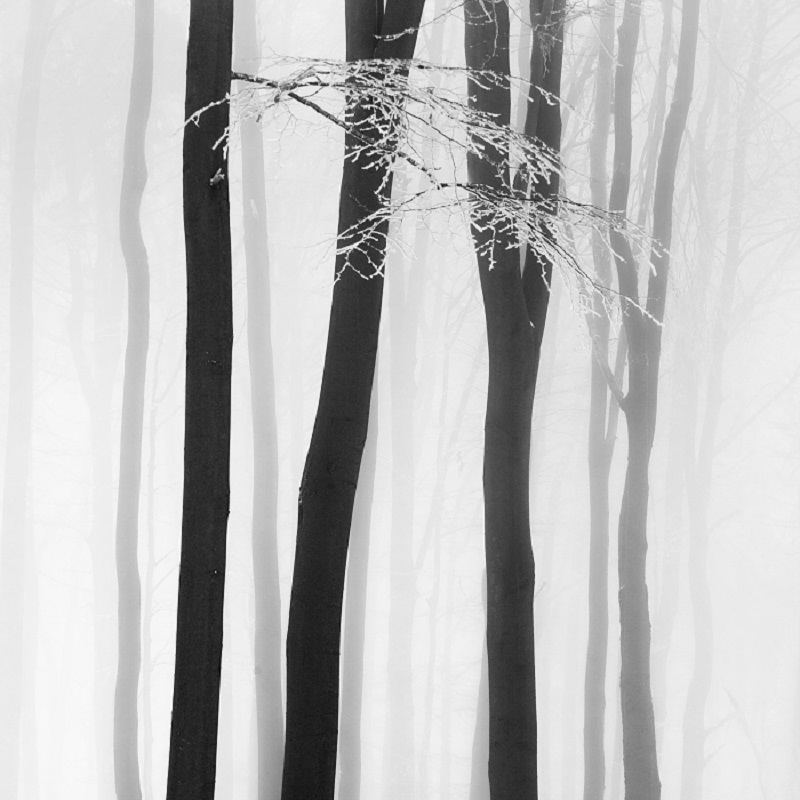 Daniel_Řeřicha-Winter_Wonderland_05