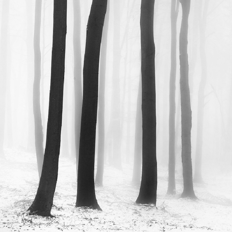 Daniel_Řeřicha-Winter_Wonderland_06