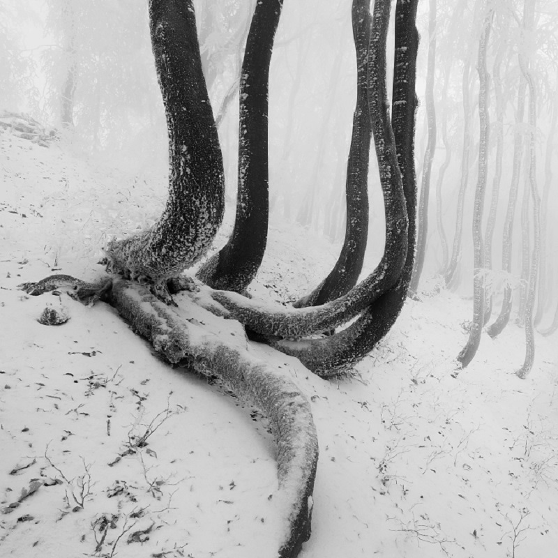 Daniel_Řeřicha-Winter_Wonderland_07