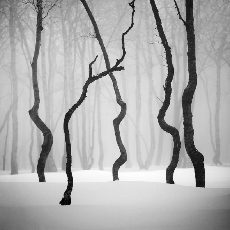 Daniel_Řeřicha-Winter_Wonderland_08