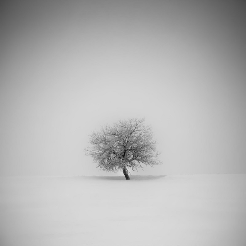 Daniel_Řeřicha-Winter_Wonderland_09