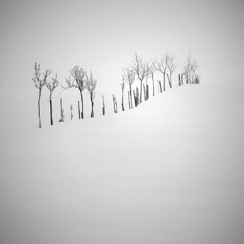 Daniel_Řeřicha-Winter_Wonderland_10