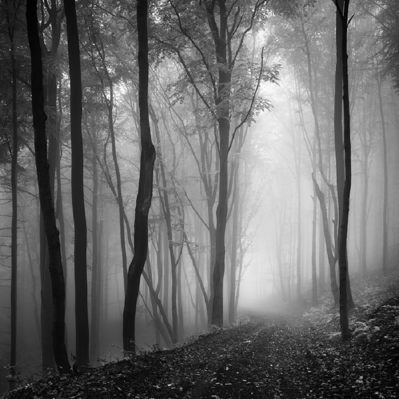 Daniel_Řeřicha-Winter_Wonderland_15