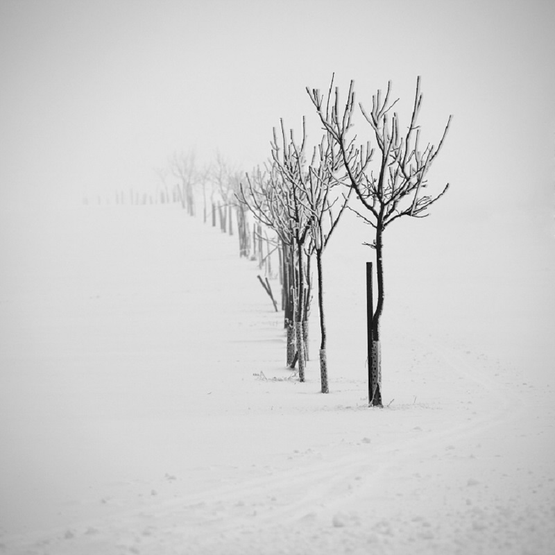 Daniel_Řeřicha-Winter_Wonderland_16