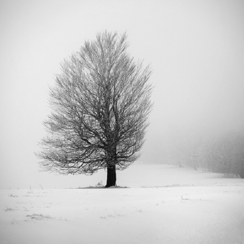 Daniel_Řeřicha-Winter_Wonderland_17