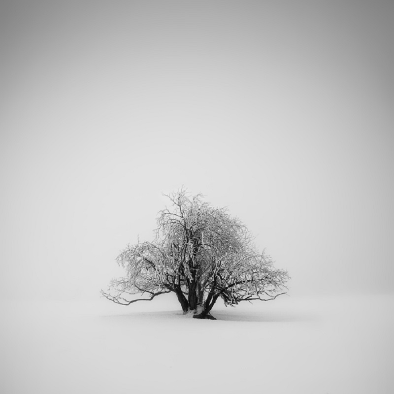 Daniel_Řeřicha-Winter_Wonderland_18