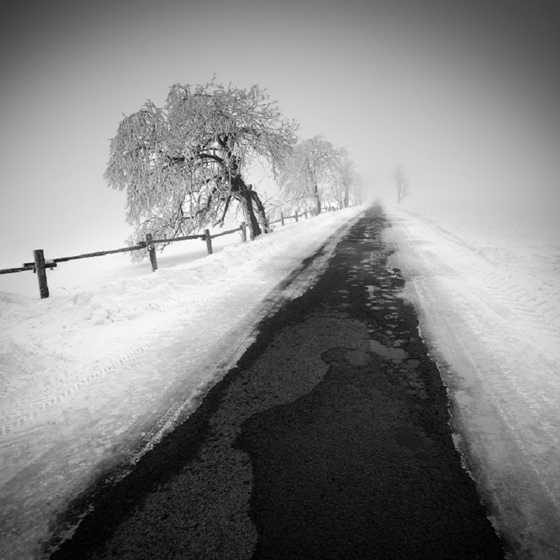Daniel_Řeřicha-Winter_Wonderland_22