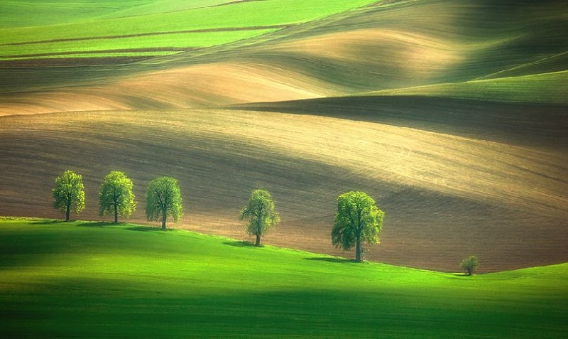 Southern_Moravia_Czech_Reublic_Krzysztof_Browko-12