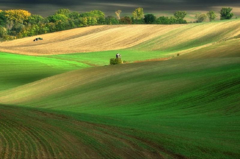 Southern_Moravia_Czech_Reublic_Krzysztof_Browko-13