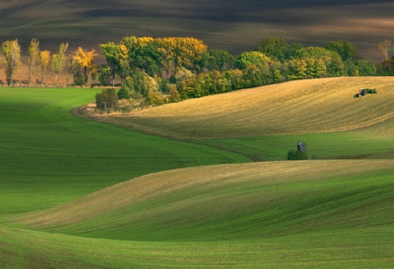 Southern_Moravia_Czech_Reublic_Krzysztof_Browko-14