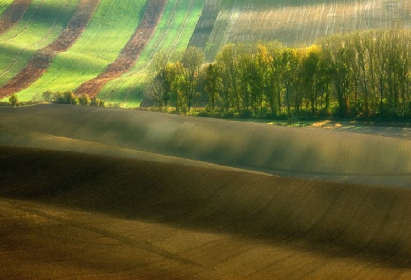 Southern_Moravia_Czech_Reublic_Krzysztof_Browko-15