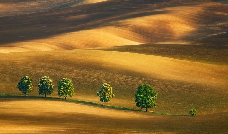 Southern_Moravia_Czech_Reublic_Krzysztof_Browko-18